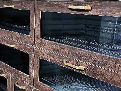 拉手